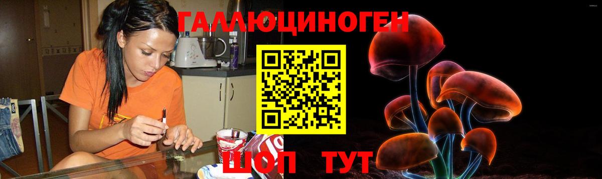 Галлюциногенные грибы GOLDEN TEACHER  Вход с VPN  Елизово 